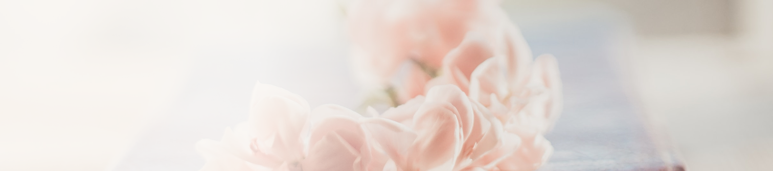 Mjuka rosa blommor i oskarp bakgrund.